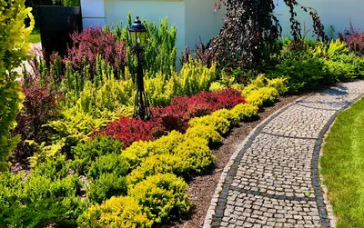 Usługi Ogrodnicze Mateusz Bernacki