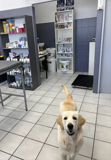 Szwarc Krzysztof, Sobik Oliwier. Przychodnia weterynaryjna